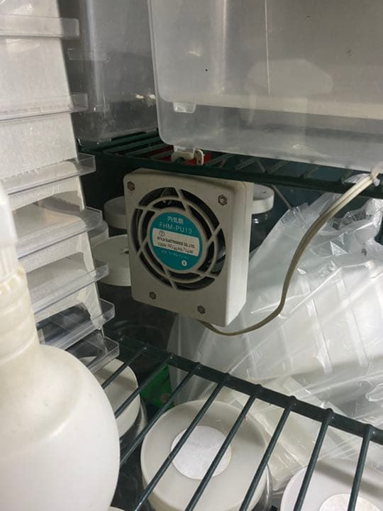 昆虫ブリードセット一式