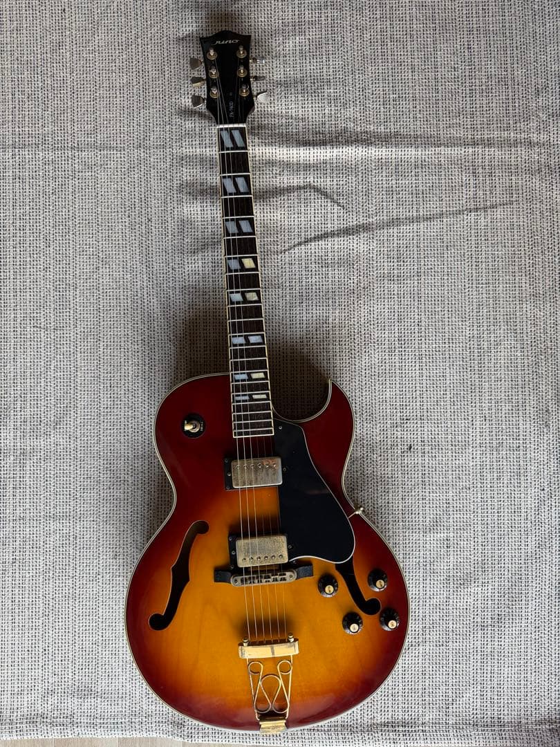ギター Juno FA-740D