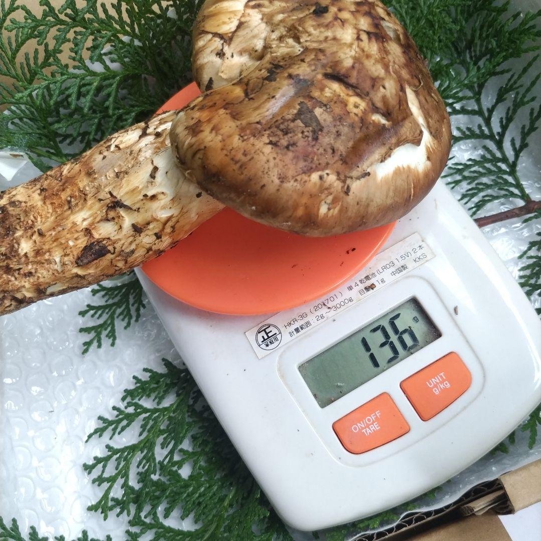 天然、新鮮早松とおまけすだち国産