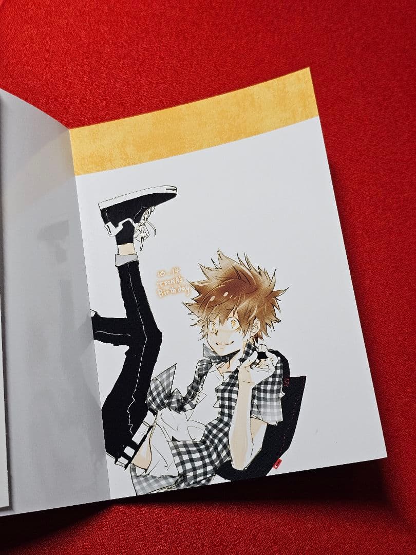 【希少】リボーン　ポストカードブック