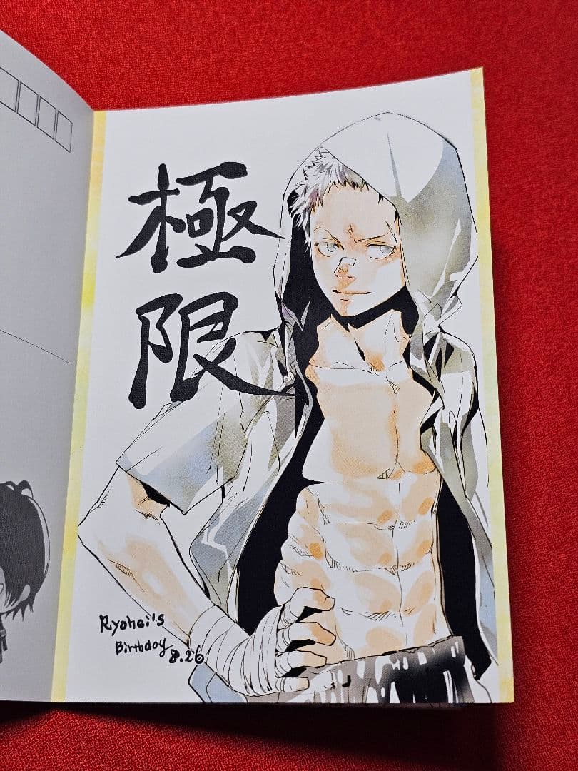 【希少】リボーン　ポストカードブック