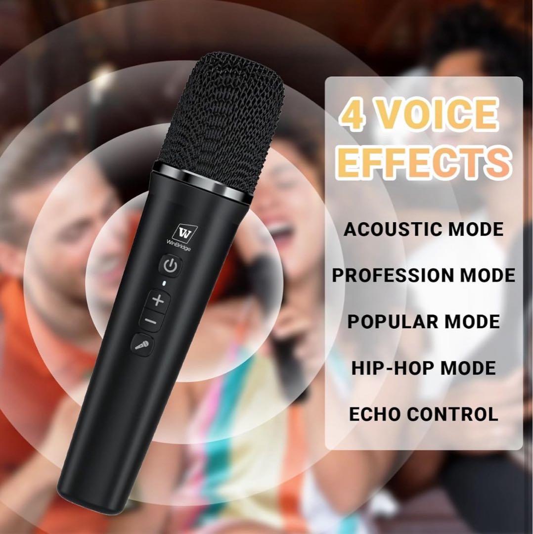 60W ハンドヘルドマイク ポータブル拡声器 PAシステム 音楽再生 エコー録音