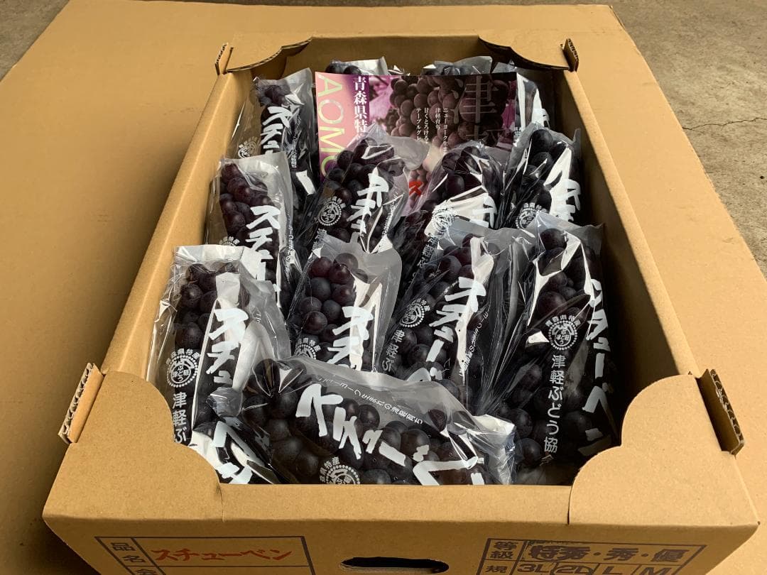 【限定値引】青森県津軽地方産ぶどう　つるたスチューベン　約１０キロ　ご家庭贈答用