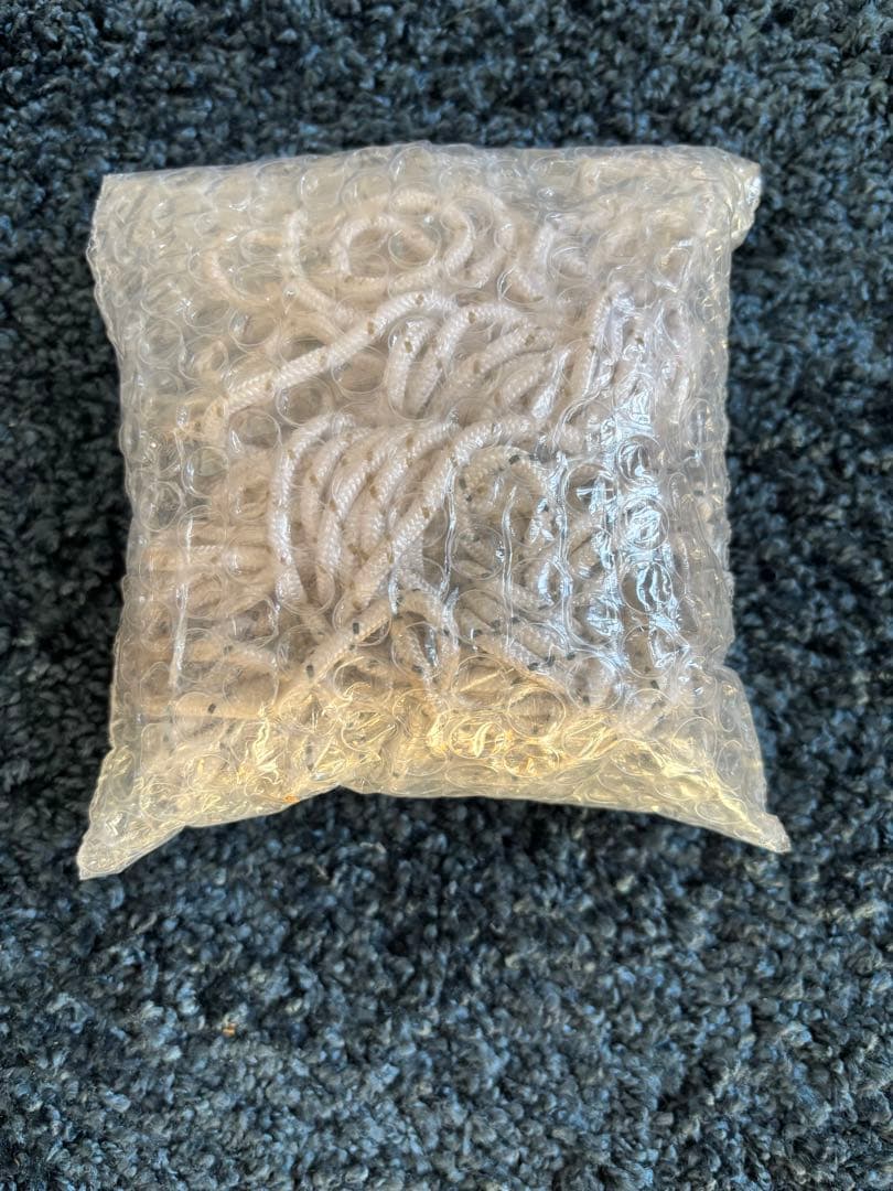 Coleman Tough Dome / 3025 キャンプテント