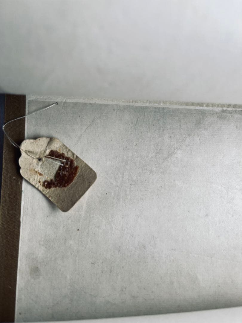 掛け軸　王 一亭