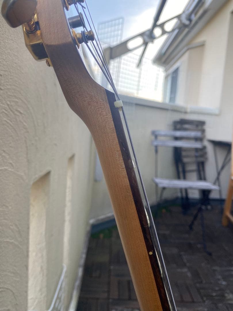 Anboy AN-25(アンボーイ/ストラトキャスター タイプ)