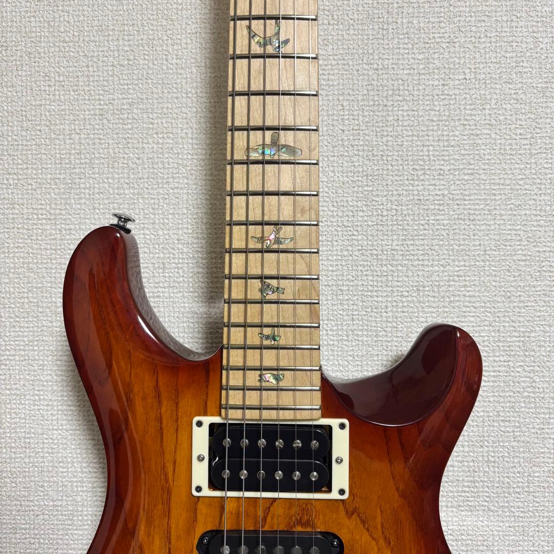 PRS SE Swamp Ash Special 3.5kg良個体2023年製