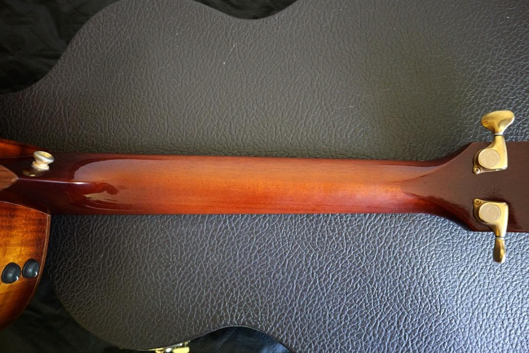 TAYLOR Koa 12-FRET GC-LTD ハワイアンコアオール単板