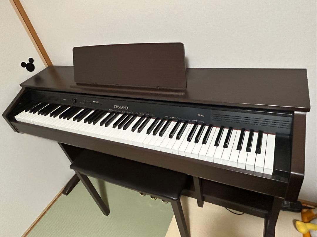 セルビアーノ　CASIO AP-250 多機能電子ピアノ