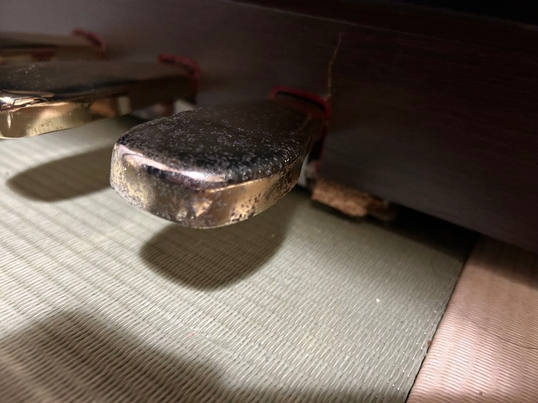 セルビアーノ　CASIO AP-250 多機能電子ピアノ