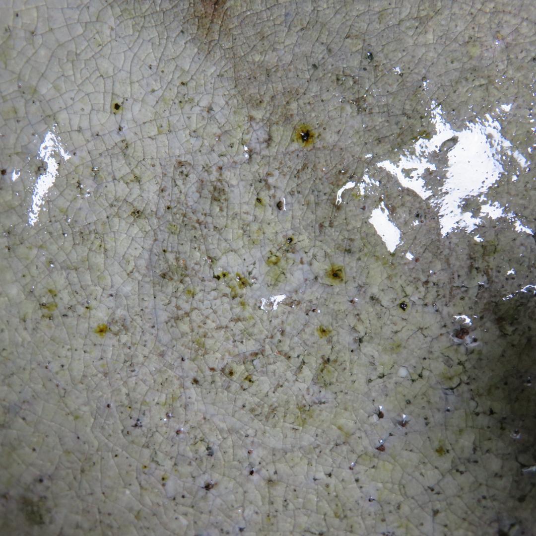 茶碗 井戸茶碗 抹茶碗 茶器 茶道具 木箱 共箱 質素 素朴