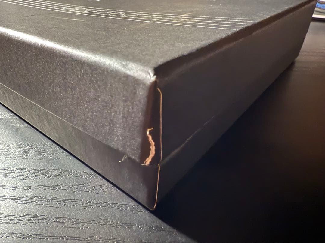 新品　モンブラン　ドネーションペン　カラヤン　万年筆　M