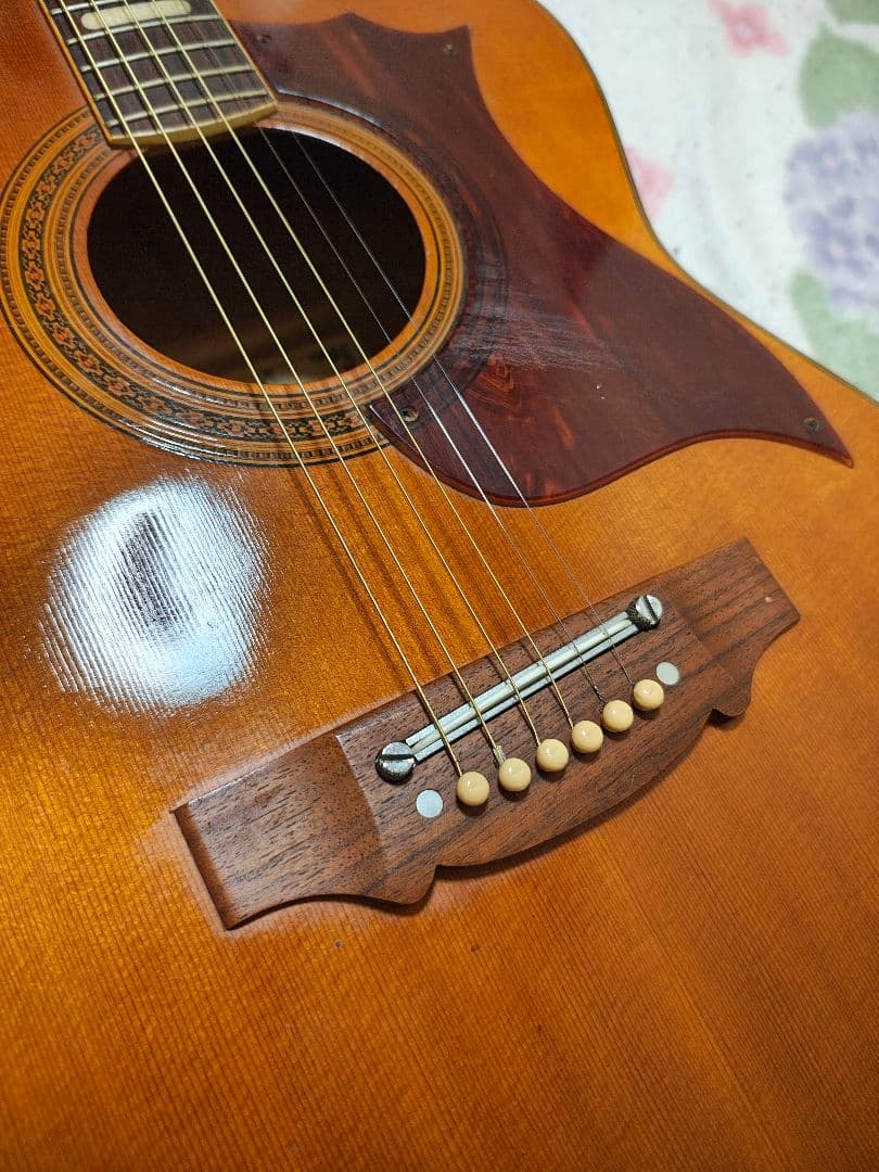 JAPANビンテージCalabash/ハードケース