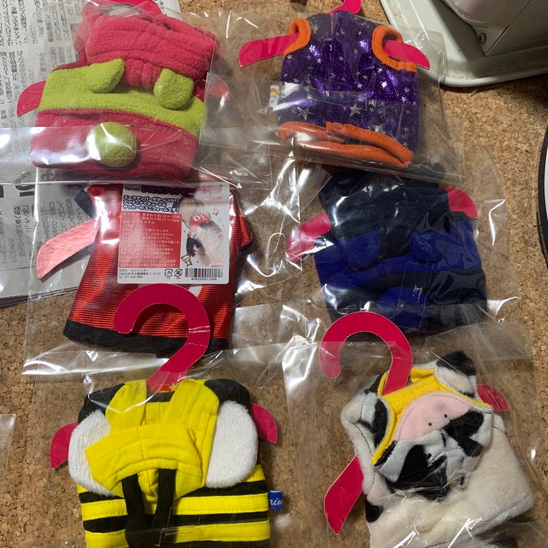 フェレットの洋服セット