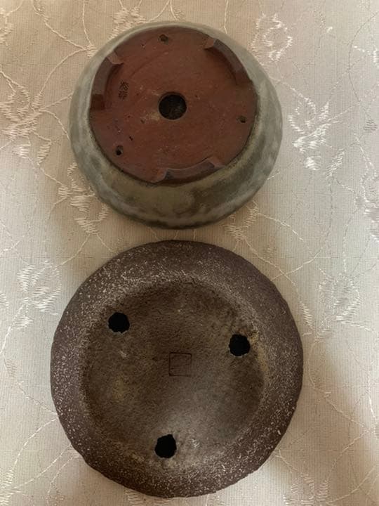 4点セット！（寿悦　松寿　柴勝…）