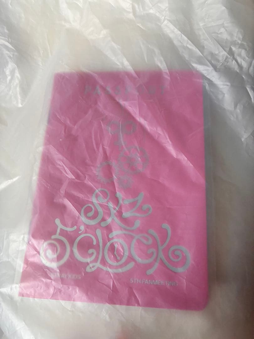 【新品】StrayKids SKZOO リノ　リービット　テディベア