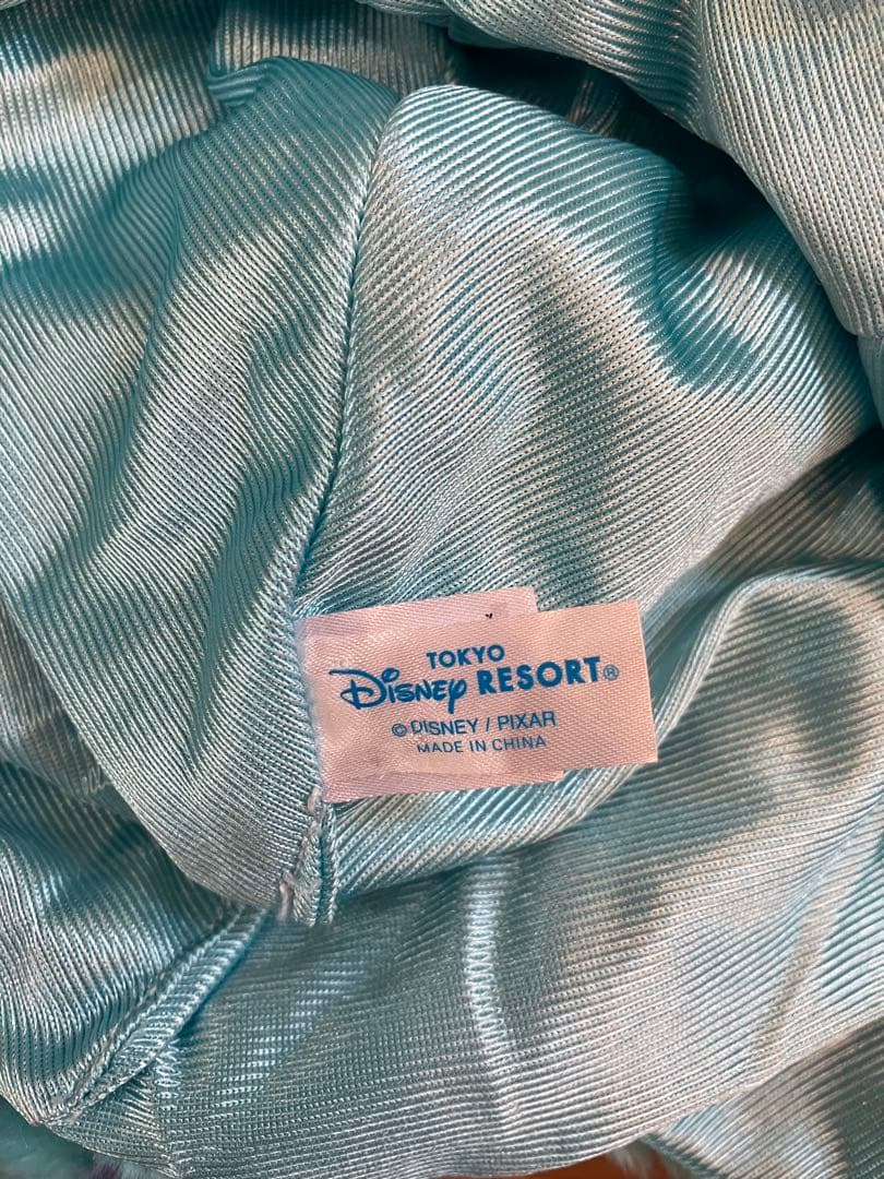 ディズニランド　サリー　ファンキャップ