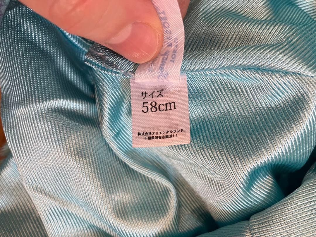 ディズニランド　サリー　ファンキャップ