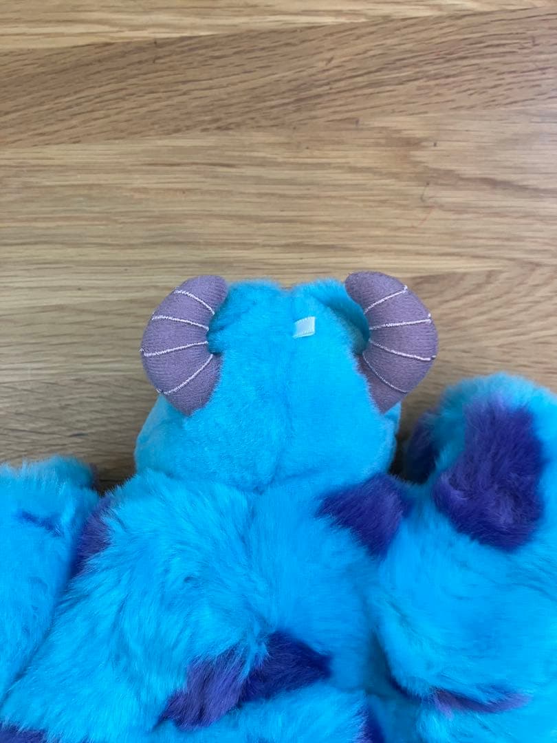 ディズニランド　サリー　ファンキャップ