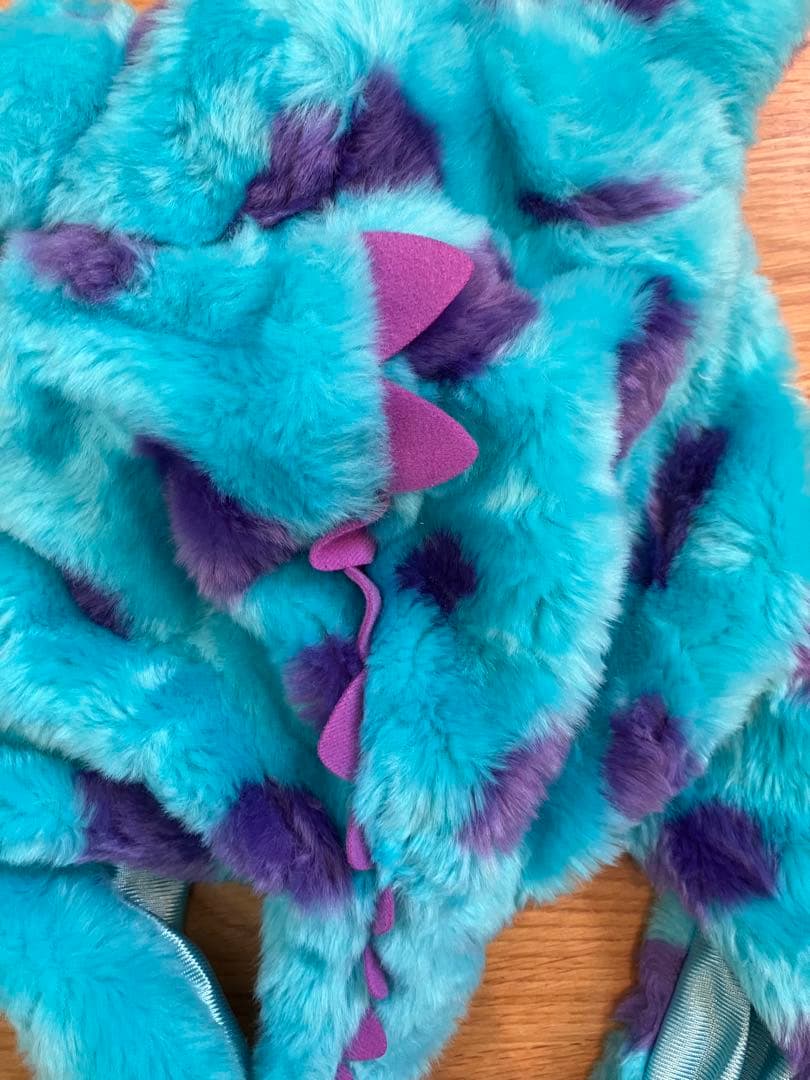 ディズニランド　サリー　ファンキャップ