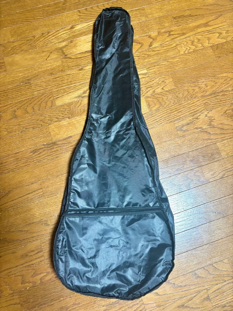 FGN（フジゲン）JTL-5M テレキャスタータイプ【美品・即購入OK】