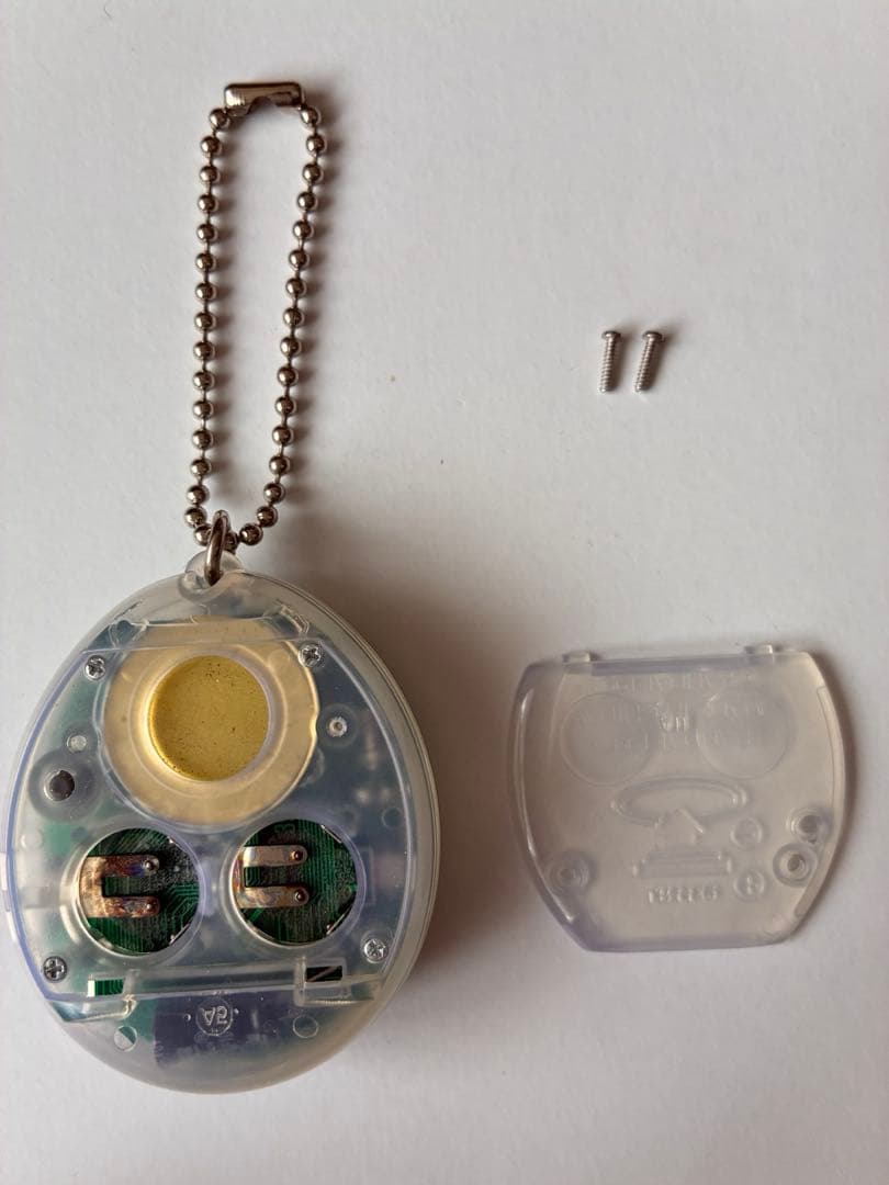 海で発見‼︎ たまごっち