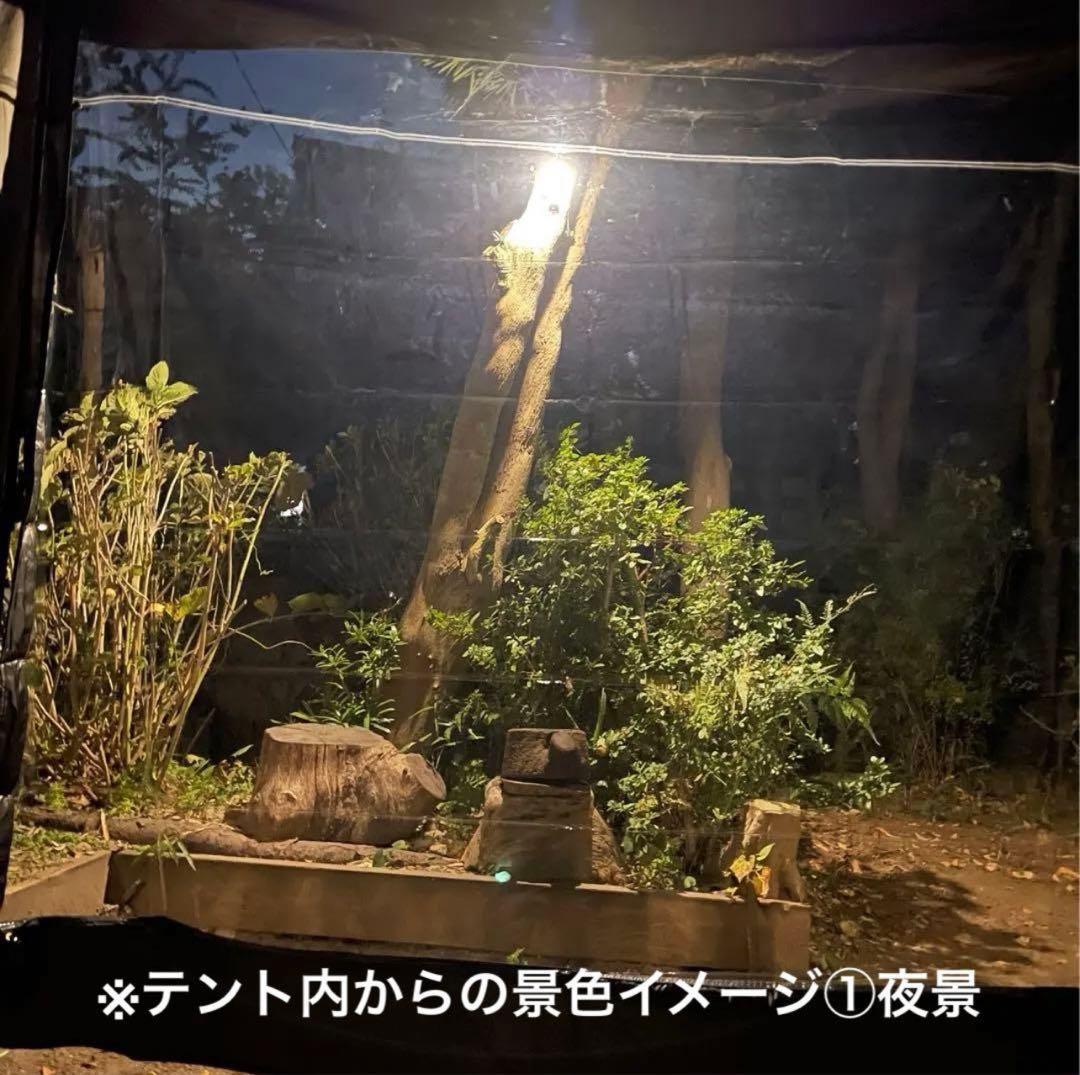 未使用FUTURE FOX BASE EVO用 TPU前幕(透明窓)カスタム特注