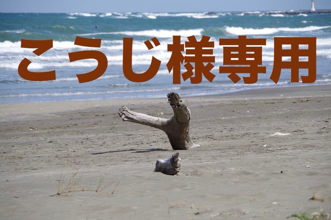 41L マークリチャーズ ソフトボード