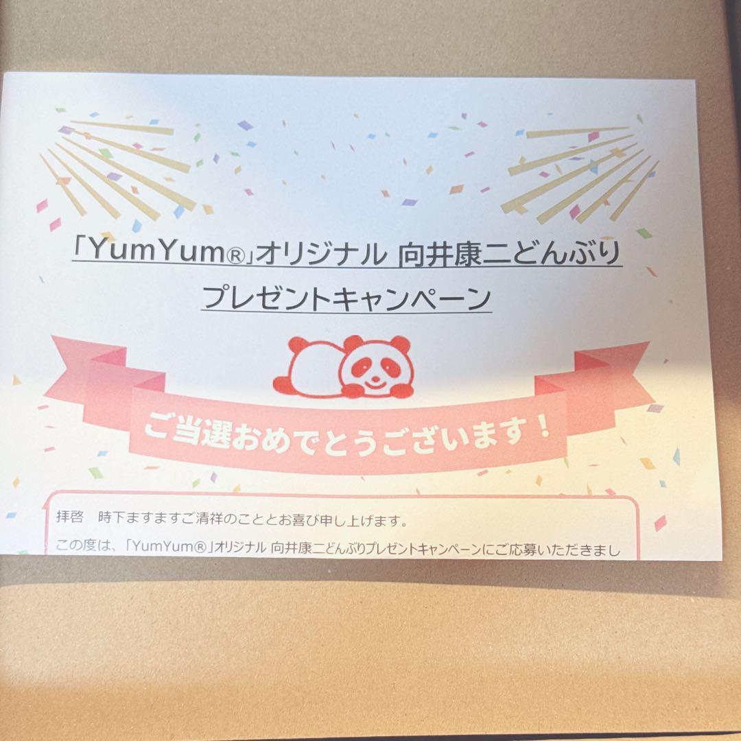 Man向井康二 どんぶり yumyum