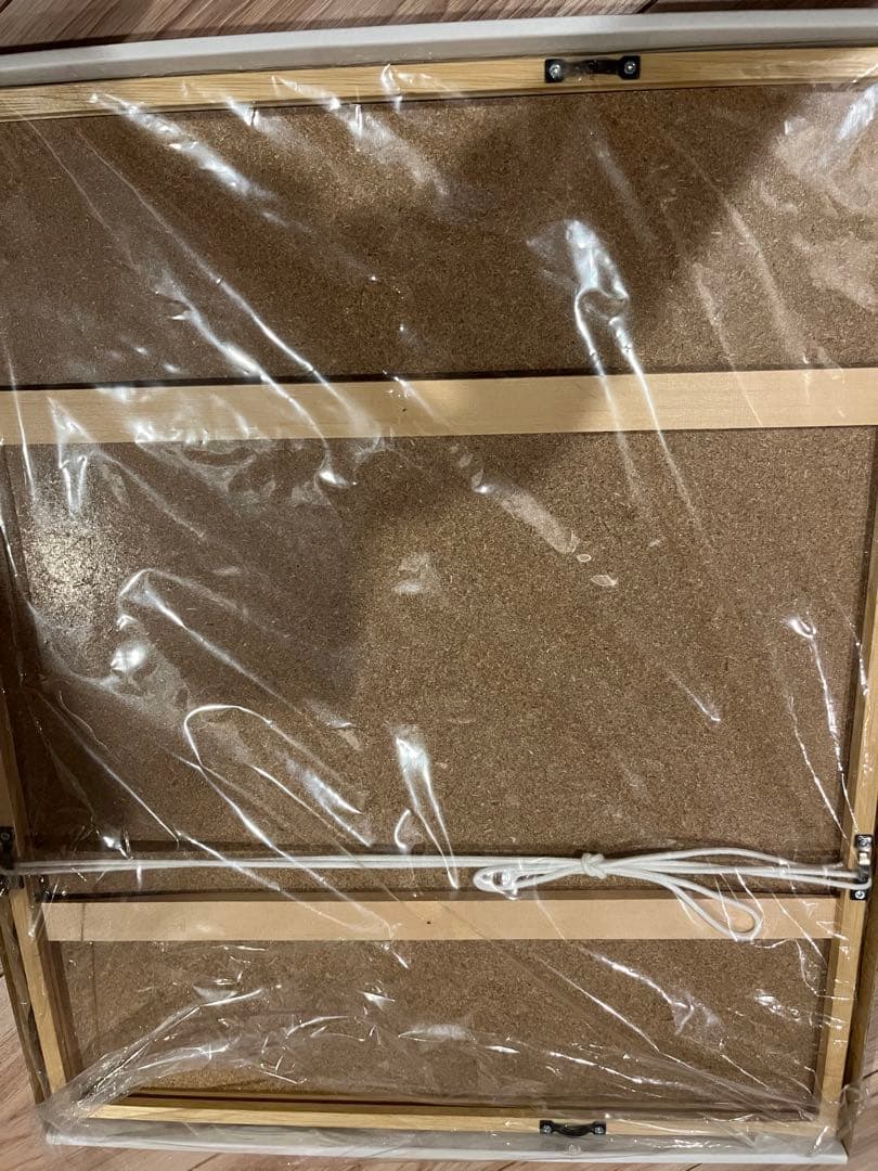 桂正和　『I”s ＜アイズ＞』　複製原画　葦月伊織