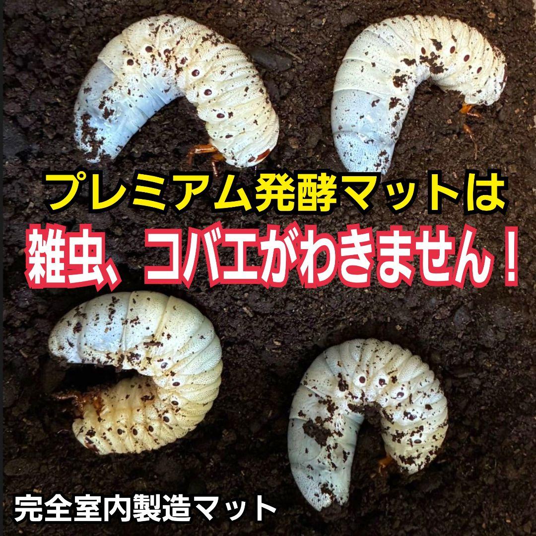 カブトムシ幼虫が巨大化！プレミアム3次発酵マット【200リットル】産卵にも抜群！