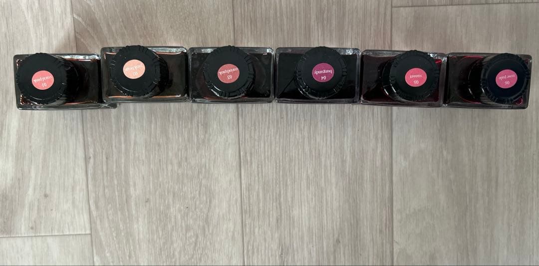 TACCIA 万年筆用インク 水性染料 リップカラーインク 6点