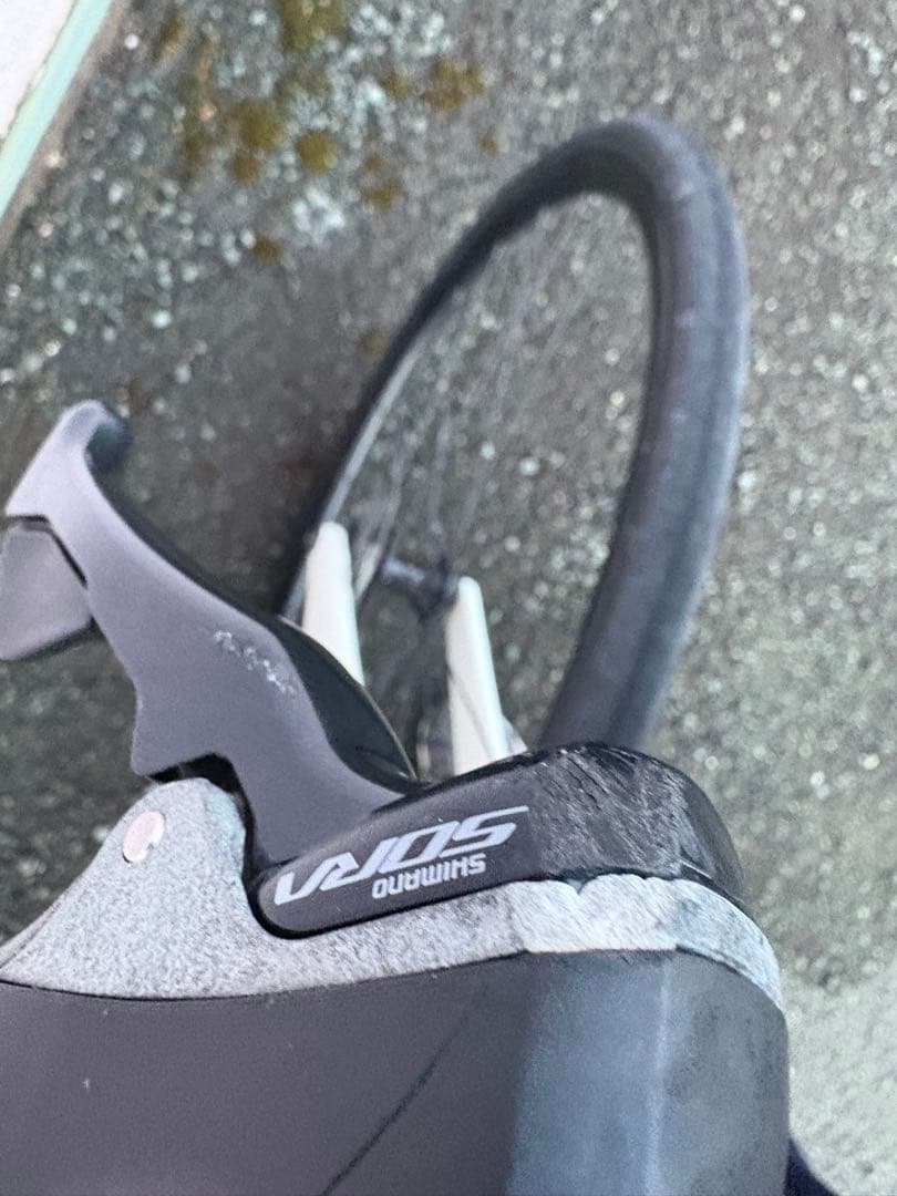 自転車本体 Trek Domane AL3 2021