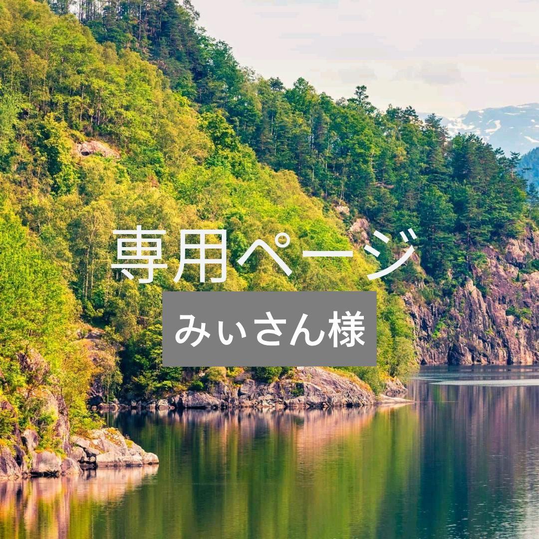 専用ページ　みぃさん様
