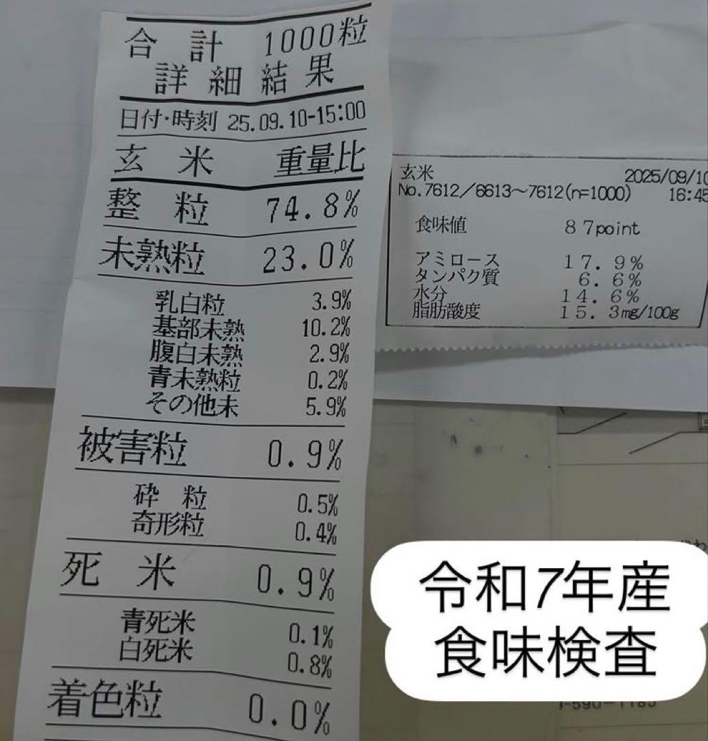令和7年産【丹波篠山コシヒカリ】玄米10kg 7年産も極上米/食味値87点
