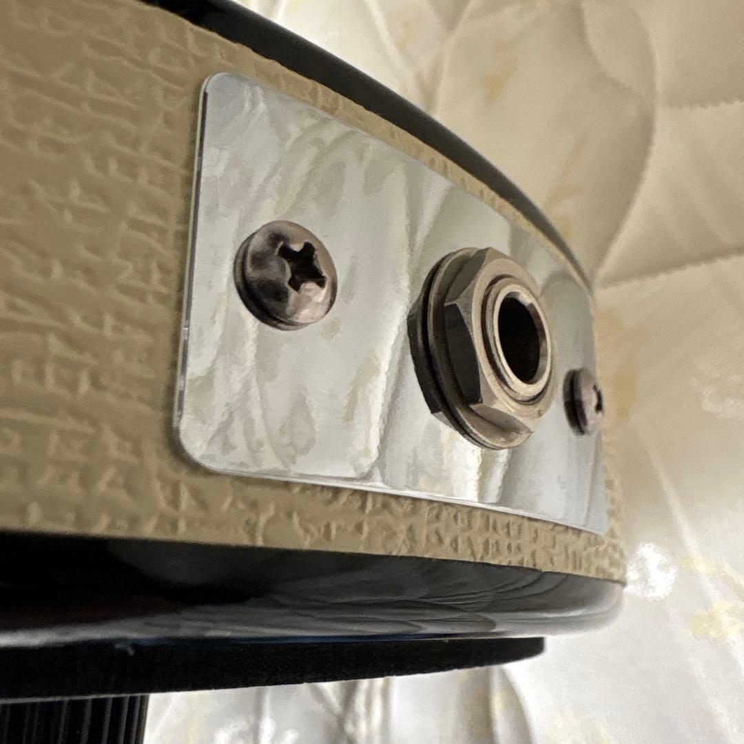 Dan Electro 12弦guitar　Black