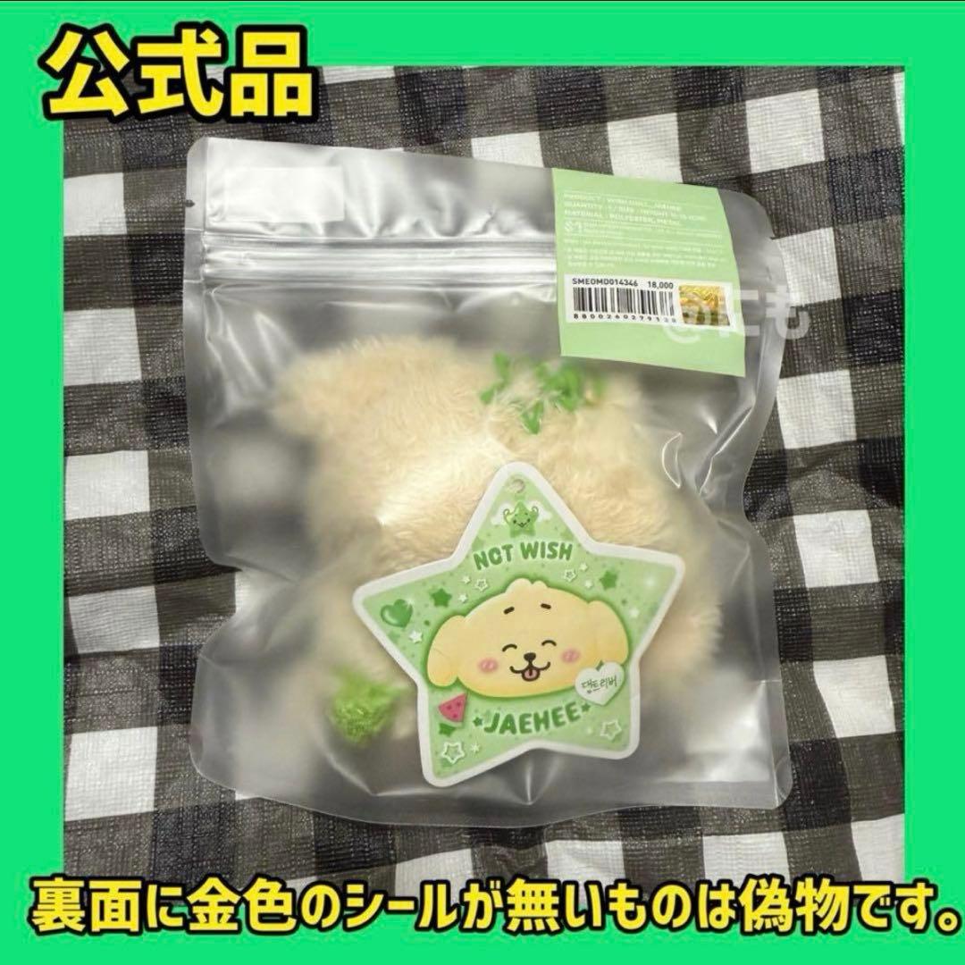 NCT WISH WISH doll md ぬいぐるみ　ジェヒ　デントリバー 3