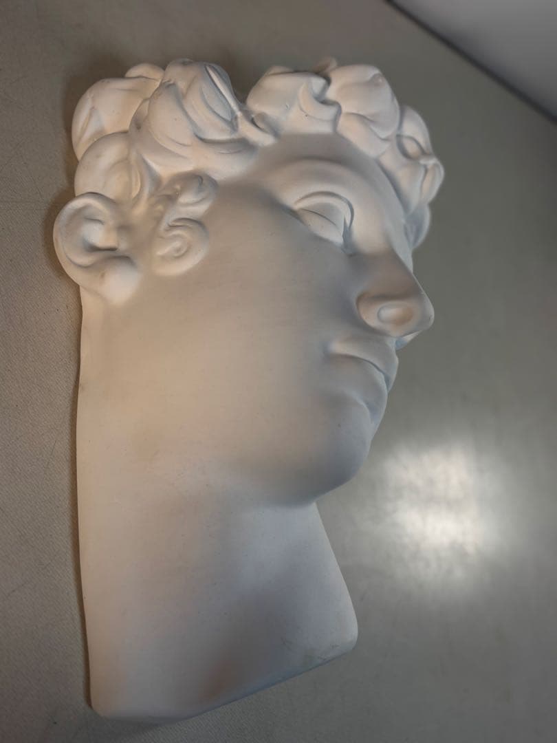 石膏像　メディチ　デッサン　半面像　美術　絵画　オブジェ　彫刻　アート