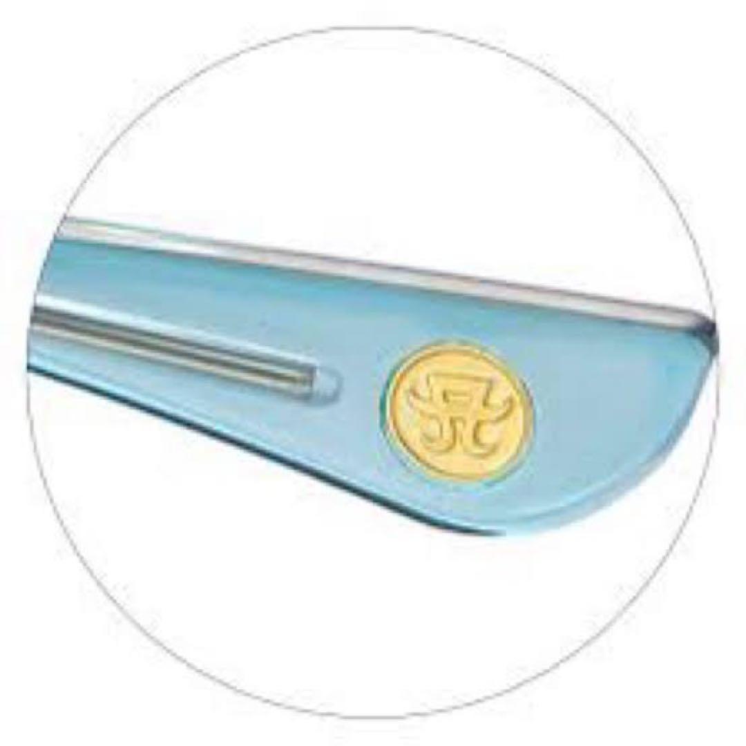 【即購入ok!!】浜崎あゆみ サングラス a-nation 2018 未開封