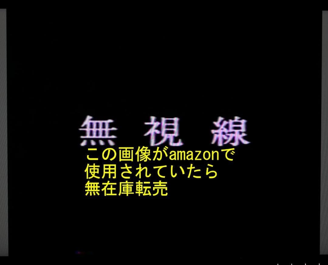 木内美歩　無視線　プロモーションビデオ　VHS　未公開映像？　木内美穂