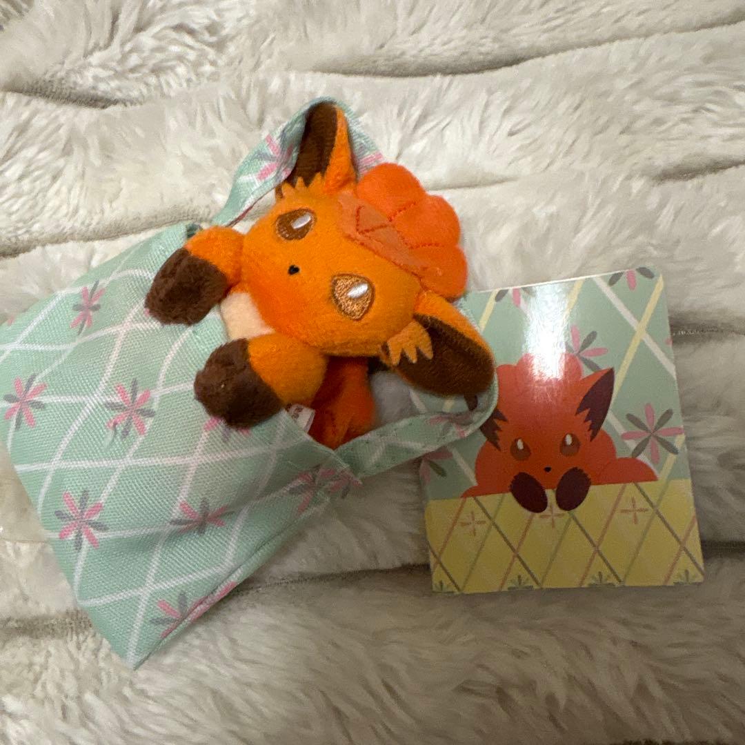 レア　ひょっこり　マスコット　ロコン　ぬいぐるみ ピンバッジ　ボールチェーン