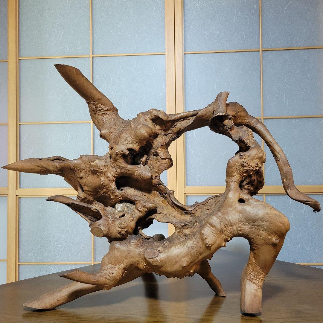 自然木 天然木 木根瘤造形 木根工芸 　オブジェ