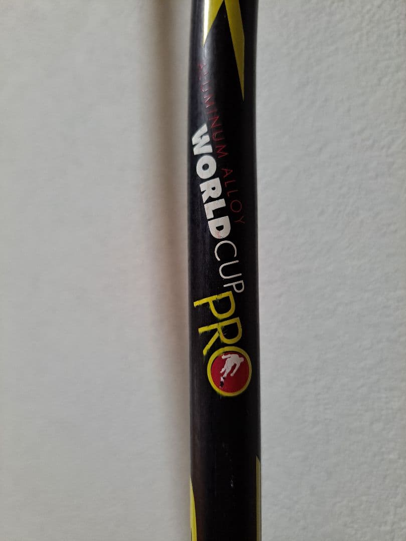 Swix World Cup Pro スキー ストックJr 110cm