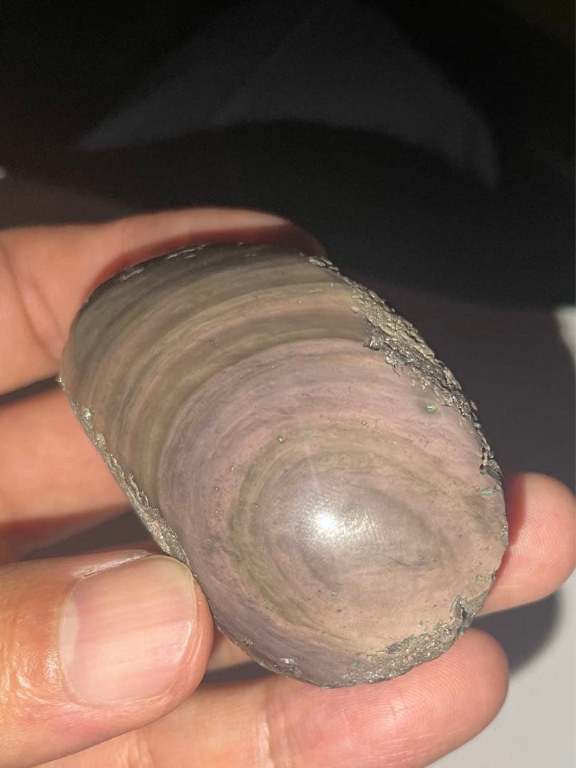 研磨品　十勝石玲瓏　ピンク、イエロー　レインボーオブシディアン