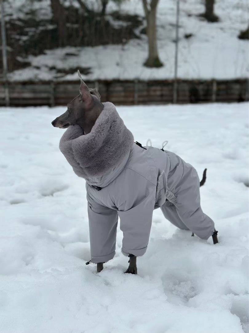 イタグレ スノースーツ2着セット