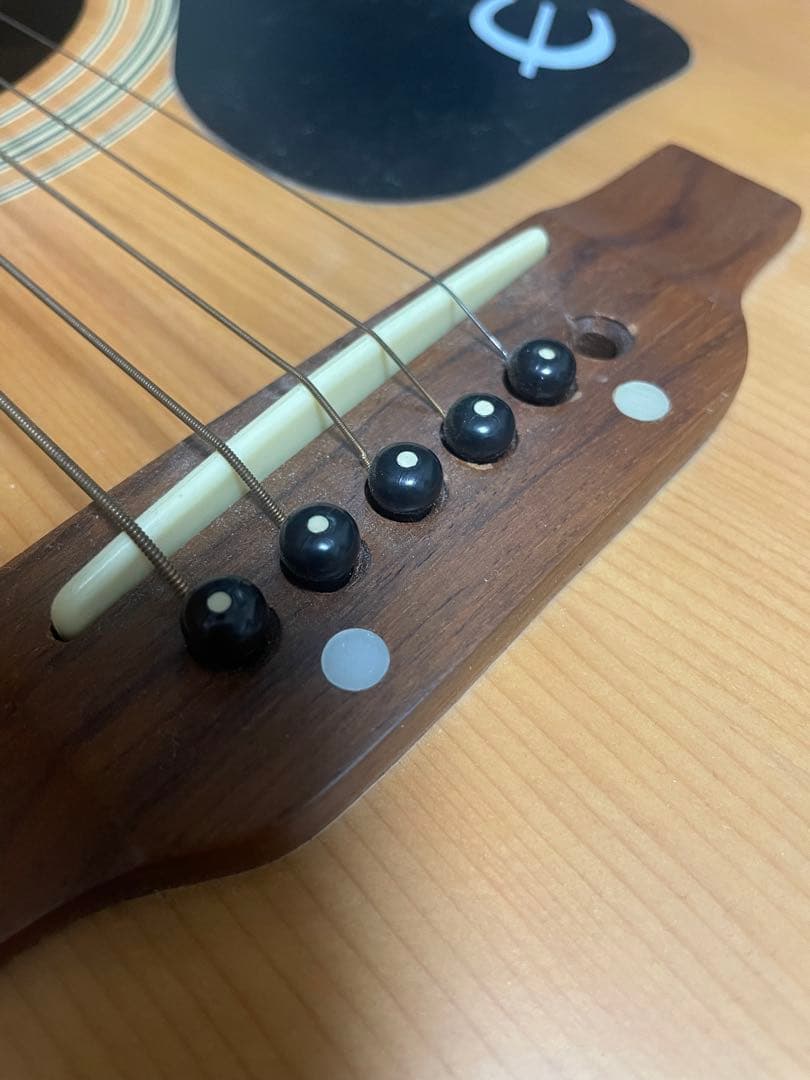 ギター Epiphone GUARANTEED PR-200 NS