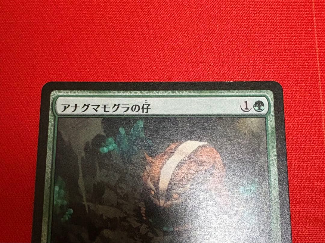 アナグマモグラの仔　日本語版