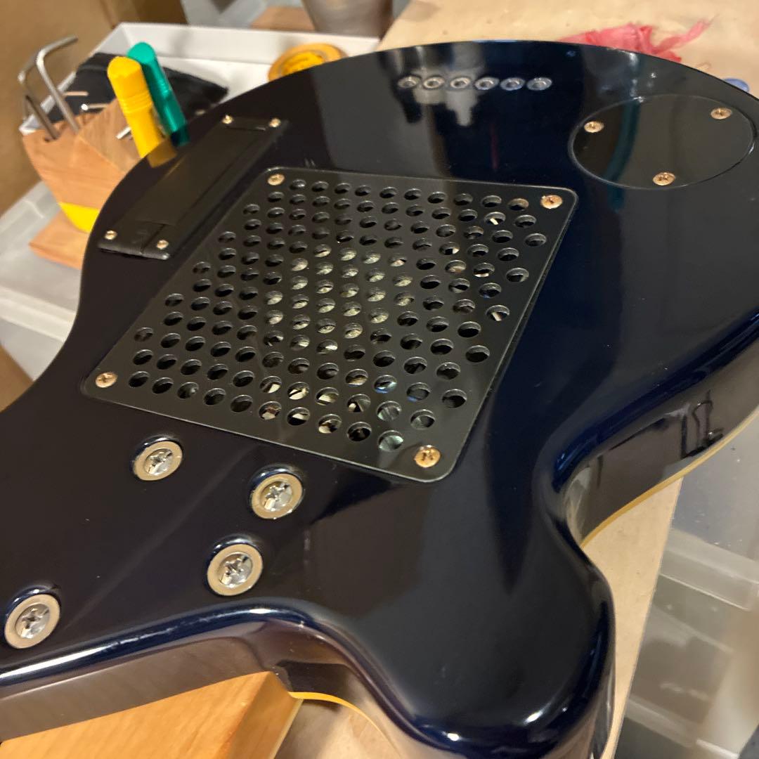 ピグノーズPGG259青