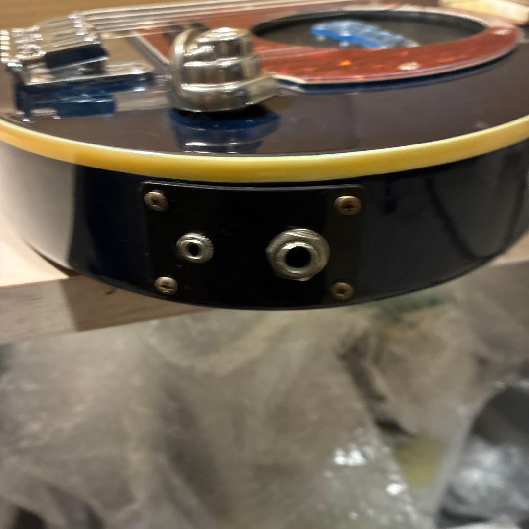 ピグノーズPGG259青