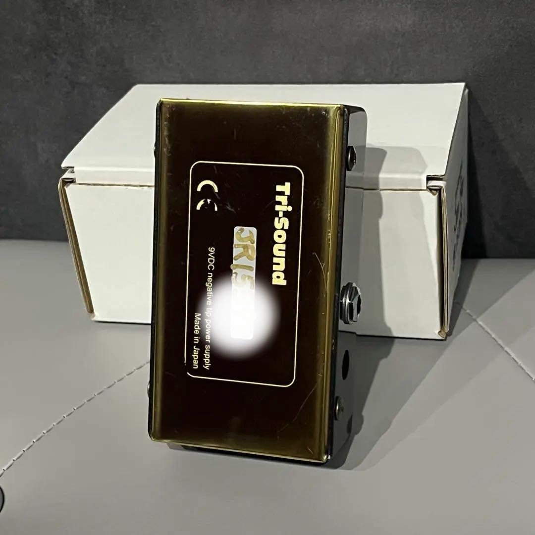 ギター VEMURAM Jan Ray